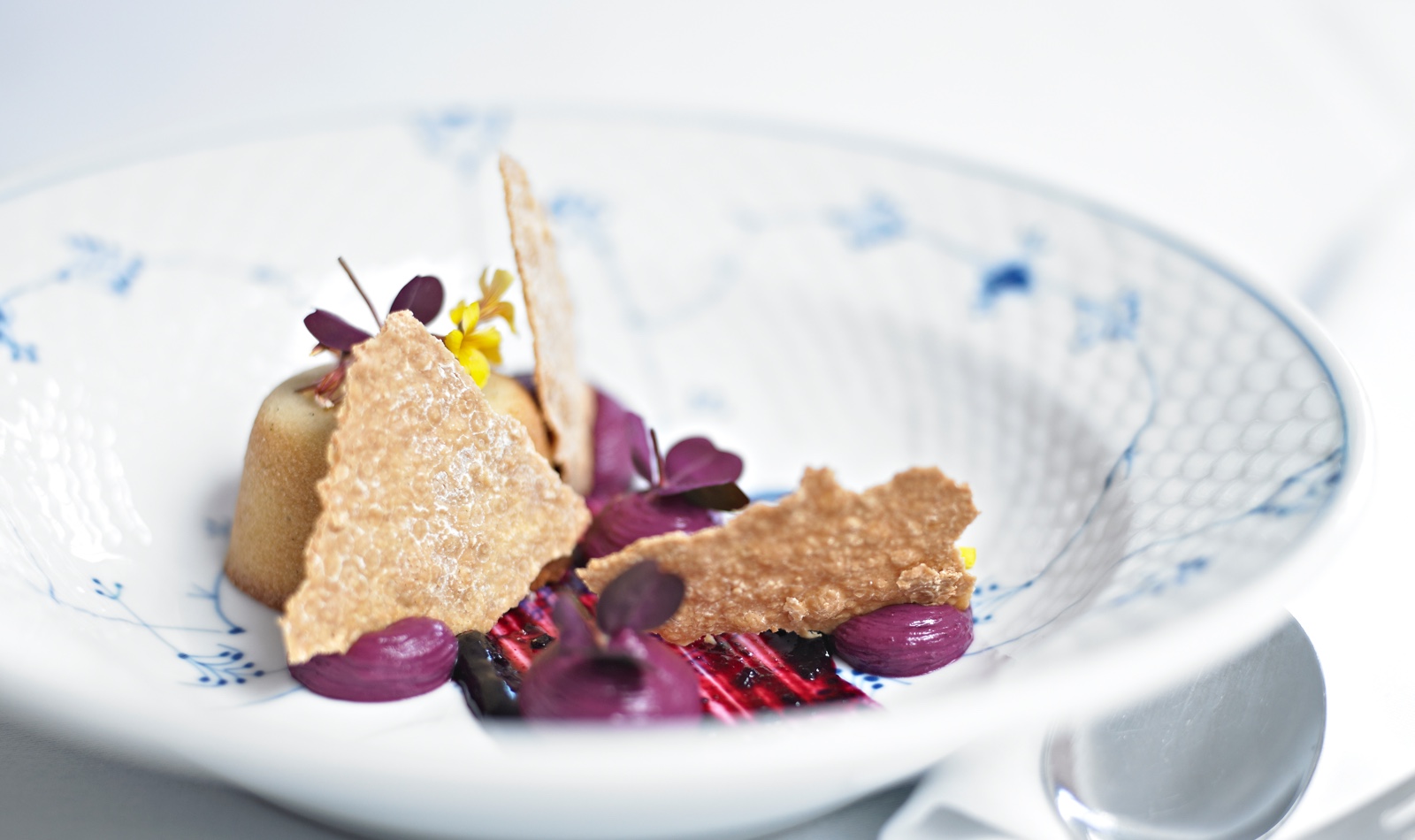 N&aelig;sbyhoved Skov branding - Wacky Studio